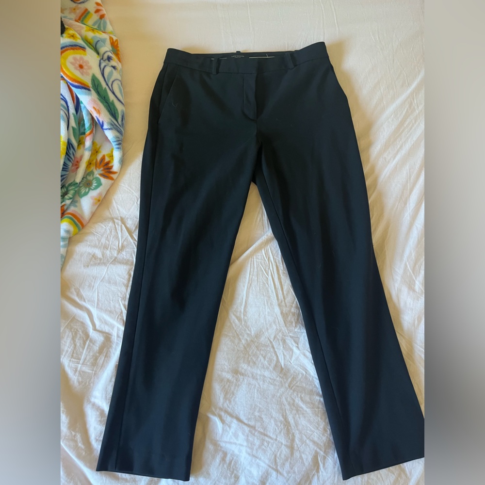 Ann Taylor Work Slacks